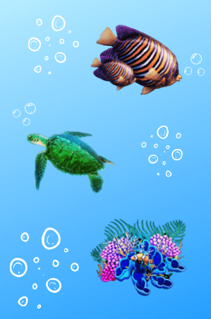 Dolphin Gold gra hazardowa online